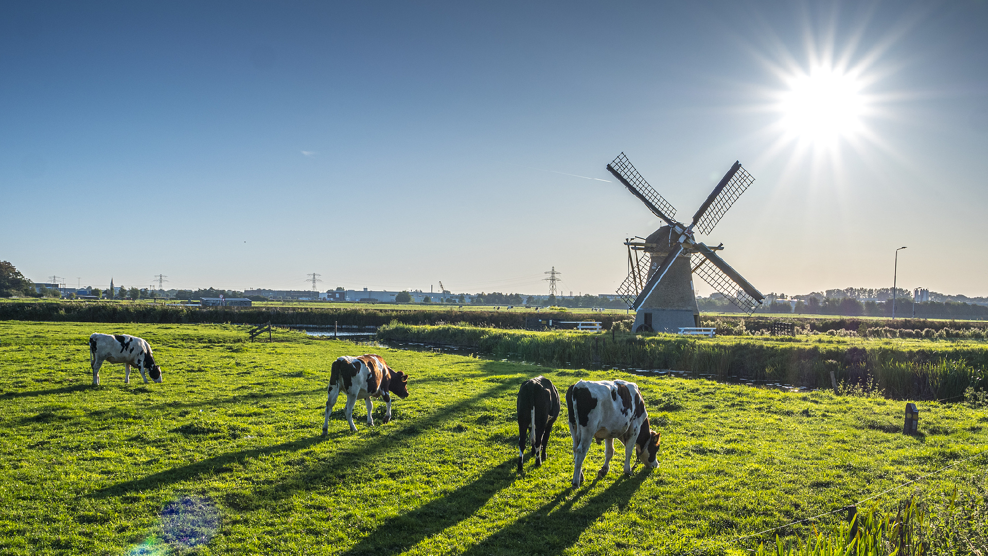 Netherlands Seeks to Enhance Farming Connections with China