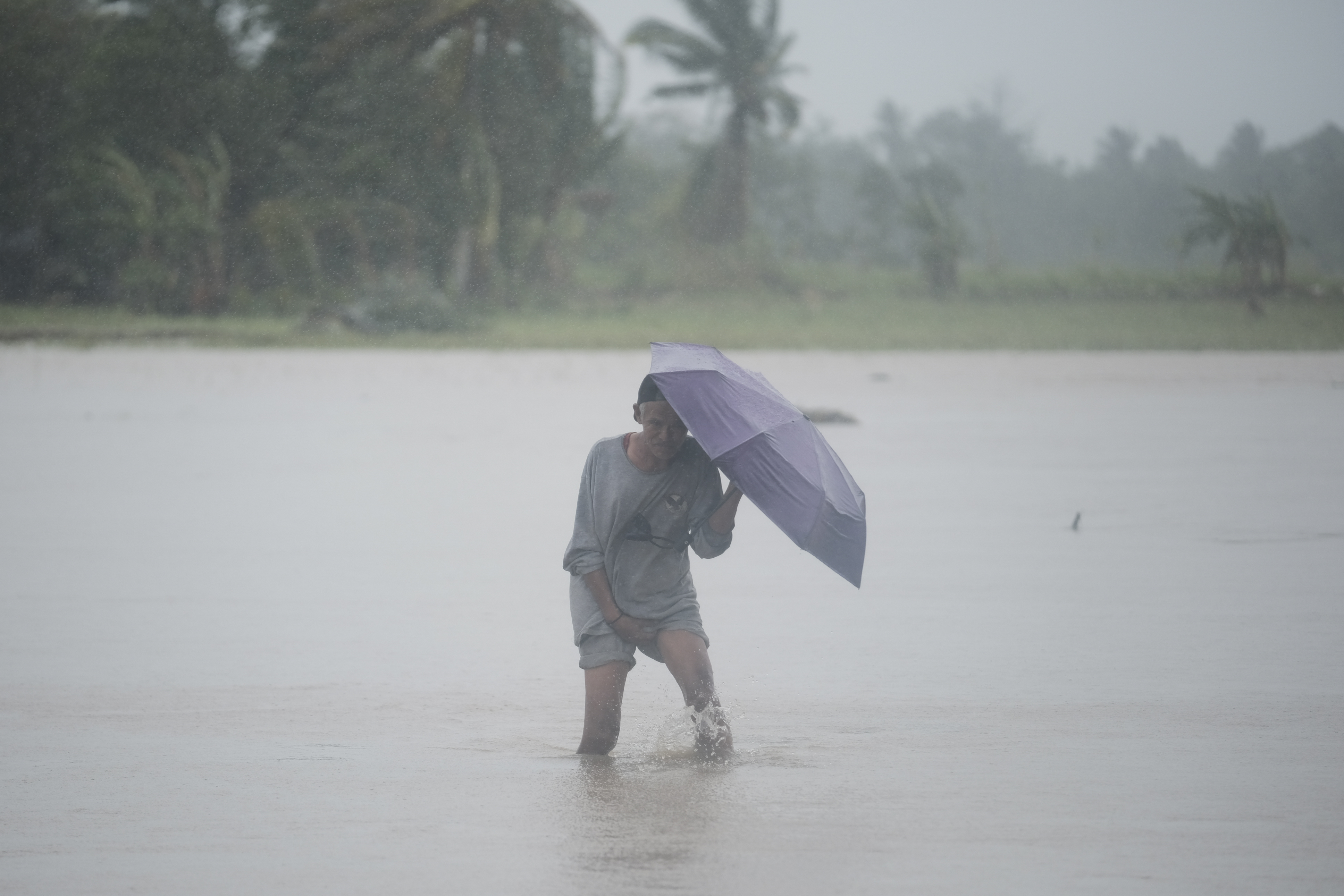 A man crosses a flooded rice field during rains after Tropical Storm Trami, locally named Kristine, dumped heavy rains at Libon town, Albay province, the Philippines, October 24, 2024. /AP 