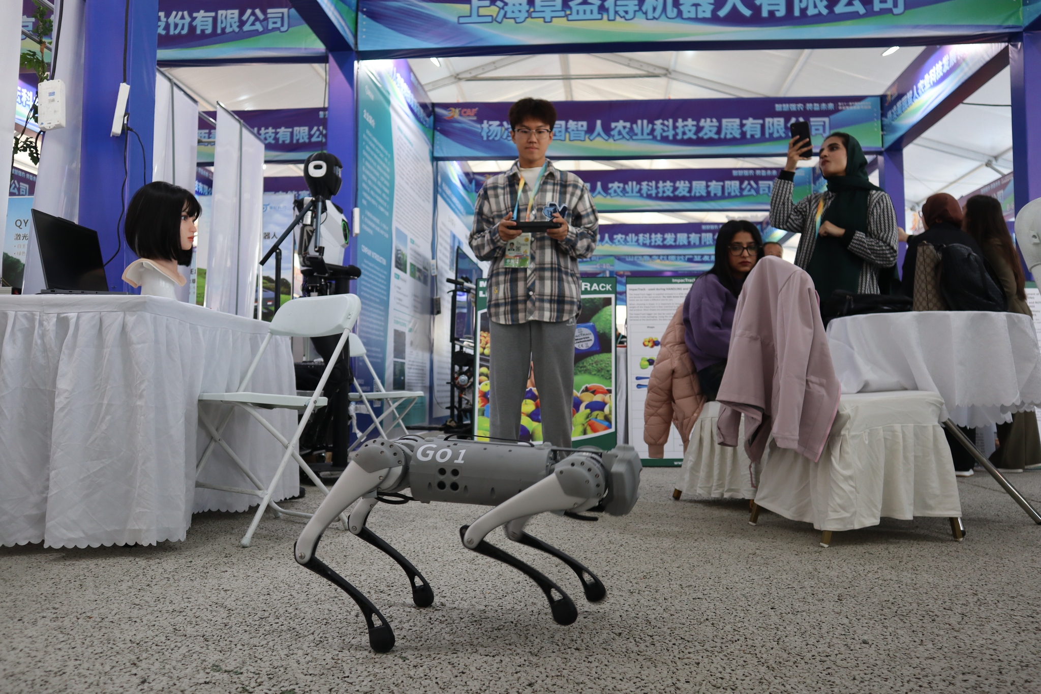 A four-legged robot displayed at the 31st China Yangling Agricultural Hi-tech Fair, October 25, 2024. /CFP