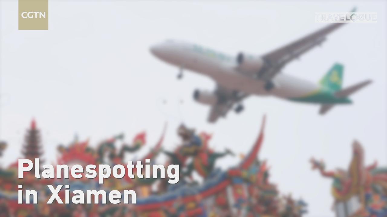 You'll love this spot if you're a planespotter