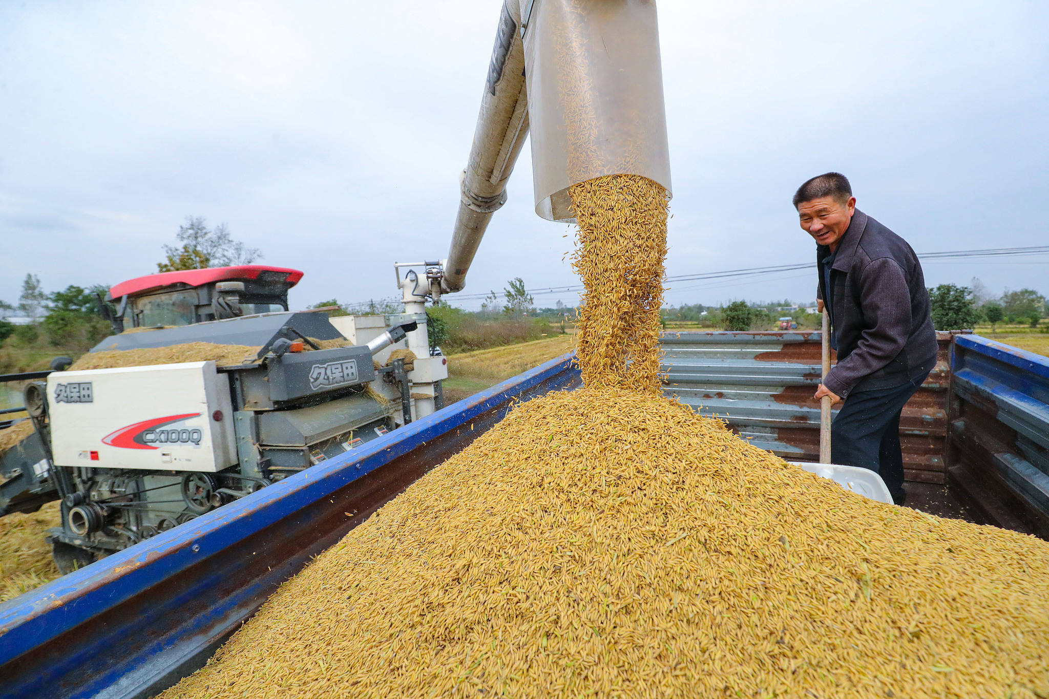 Loading harvested rice into a truck in Zhanglou Village, Guangshan County, Xinyang City, central China's Henan Province, October 20, 2024. /CFP