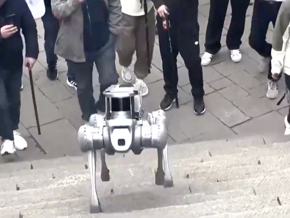 A robot dog climbs steps, Mount Tai, east China's Shandong Province. /CMG