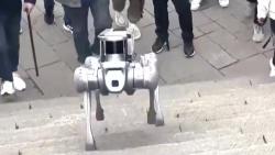 Testing of Robot Dogs in Effort to Maintain Cleanliness of Mount Tai