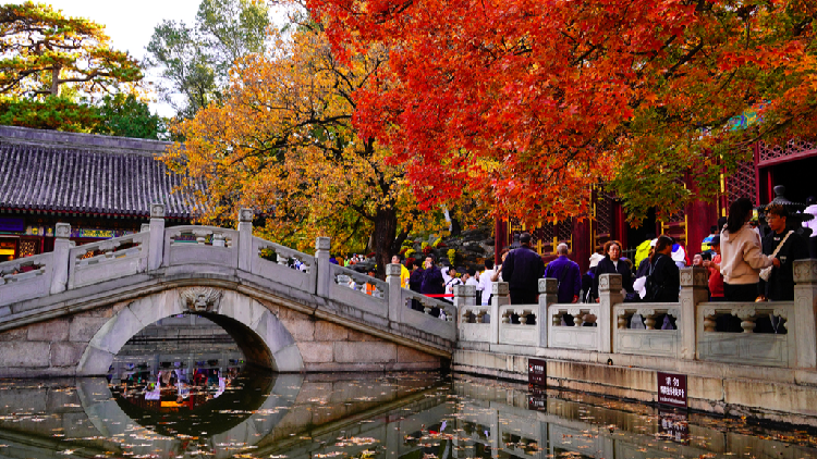 Autumn trees in Beijing's Xiangshan Park 'dressed in red' - CGTN