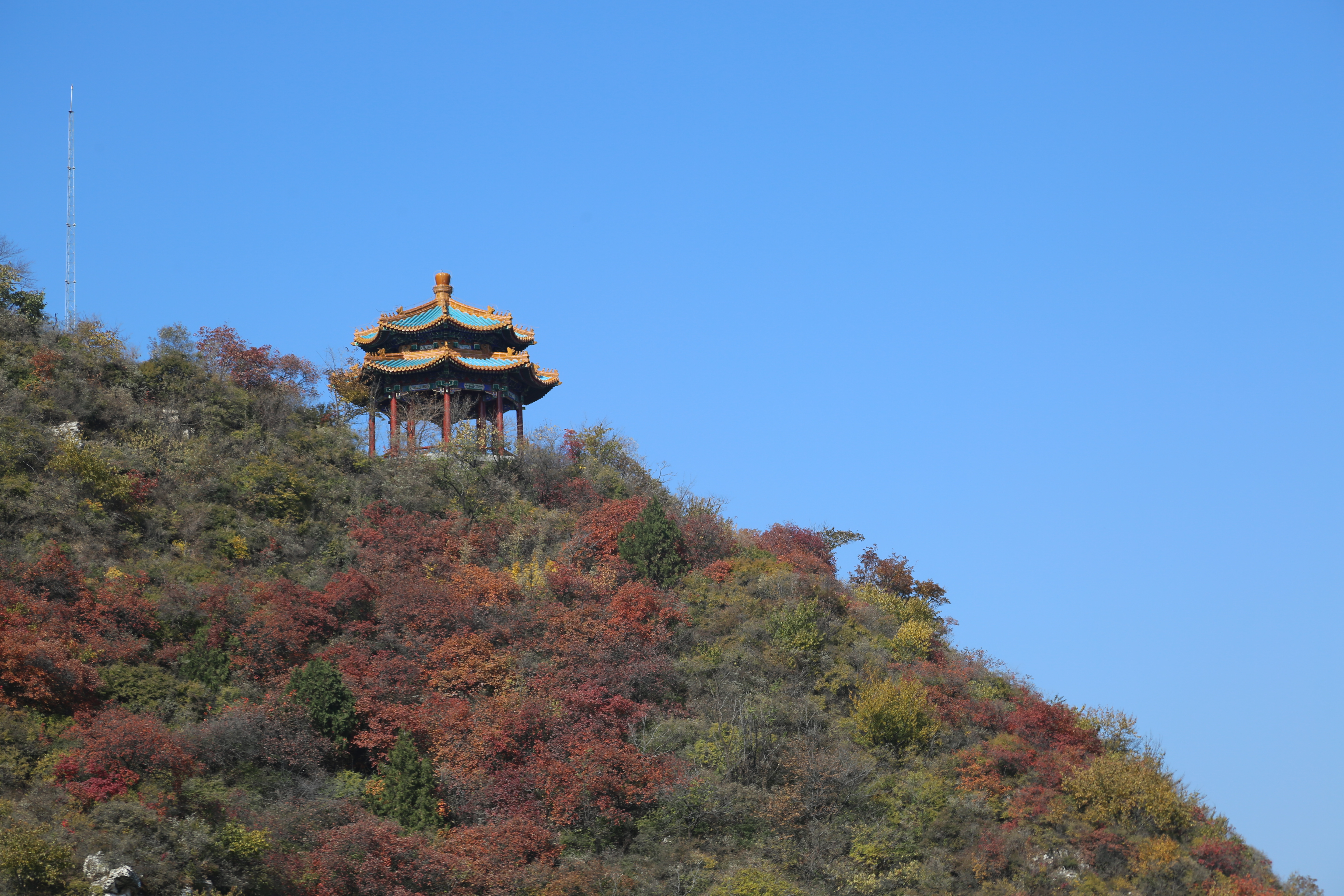 Fall colors are seen at the Juyongguan section of the Great Wall in Beijing, China, October 29, 2024. 