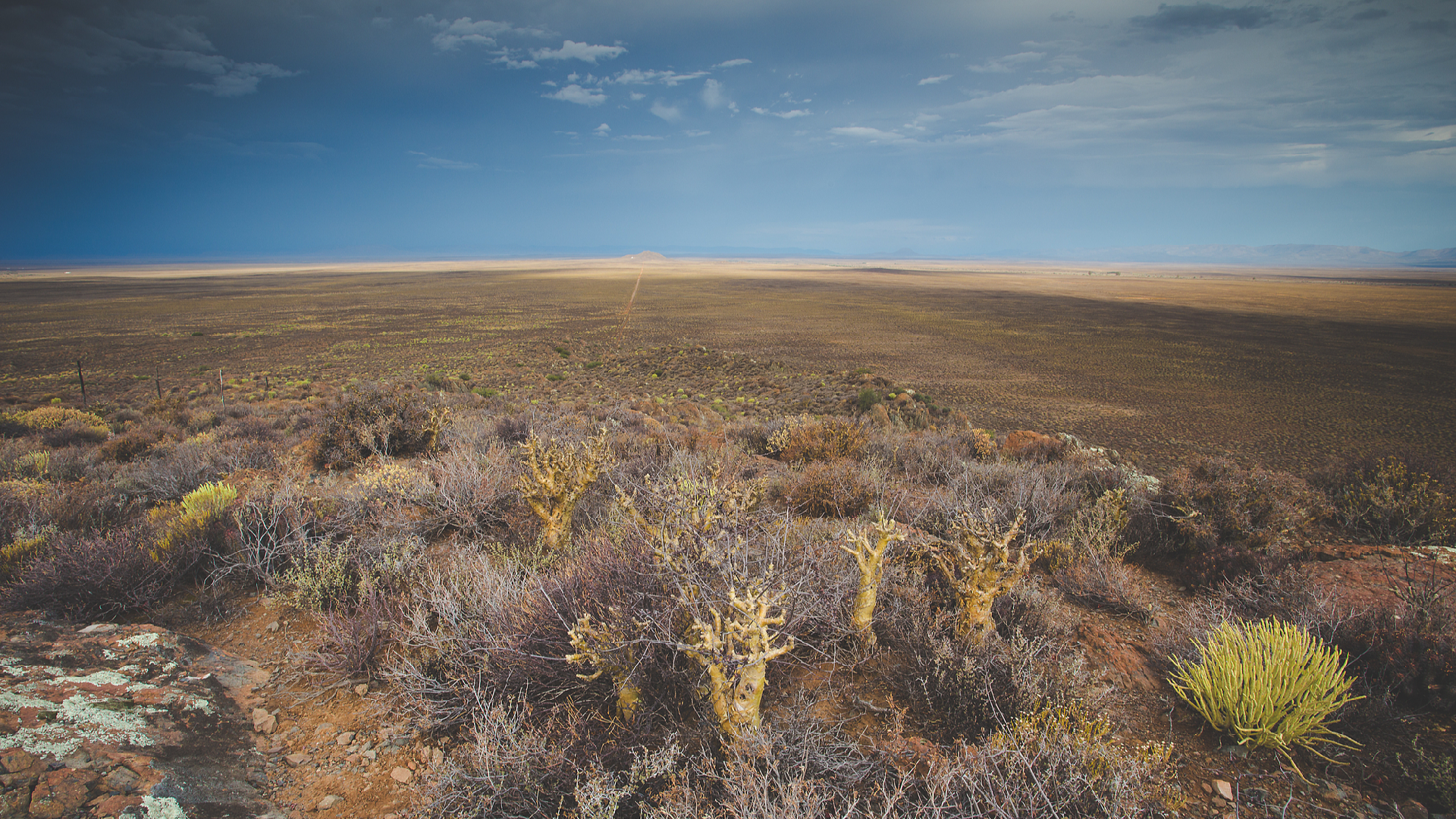 South Africa Advocates for Enhanced Climate Finance at COP29