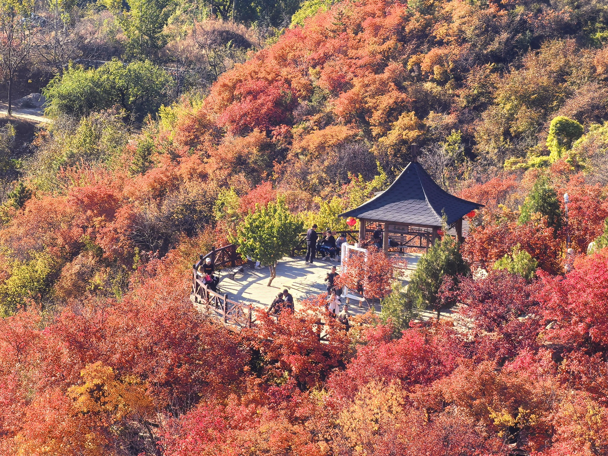 People enjoy the red leaves at the Pofengling scenic area in suburban Beijing, capital of China, October 28, 2024. /CGTN