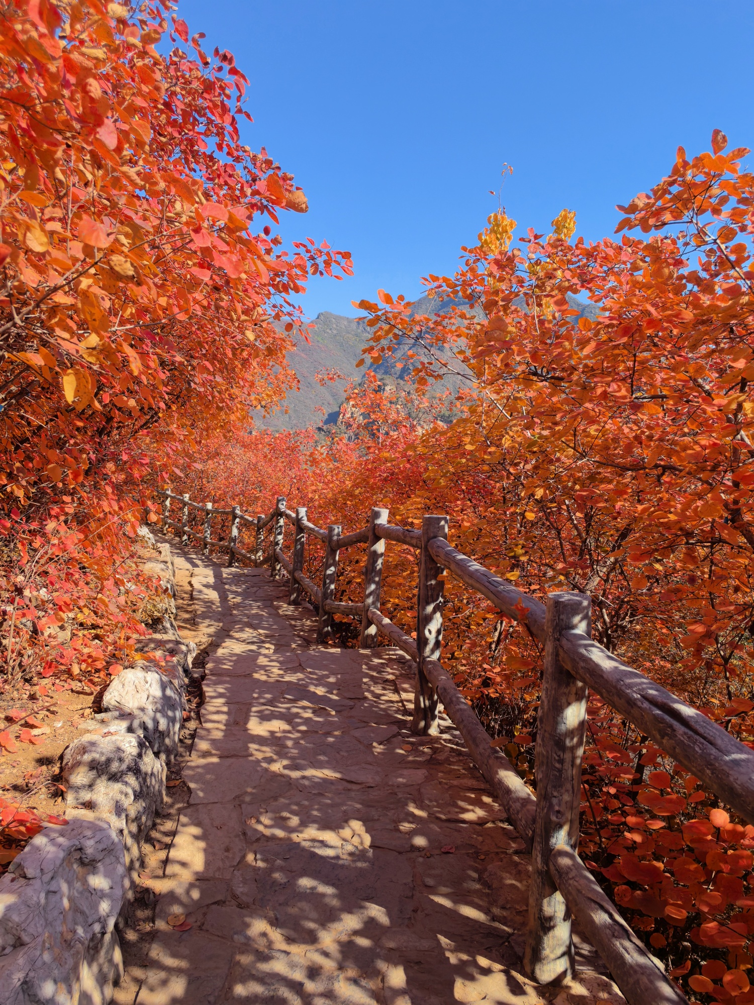 This photo taken on October 28, 2024 shows a view of the Pofengling scenic area in suburban Beijing, China's capital. /CGTN