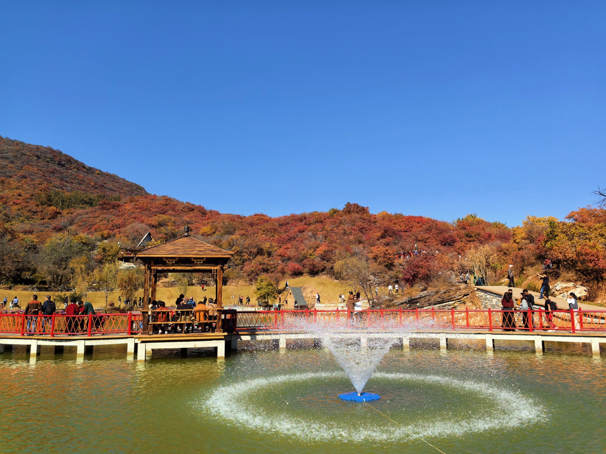 People enjoy the red leaves at the Pofengling scenic area in suburban Beijing, capital of China, October 28, 2024. /CGTN