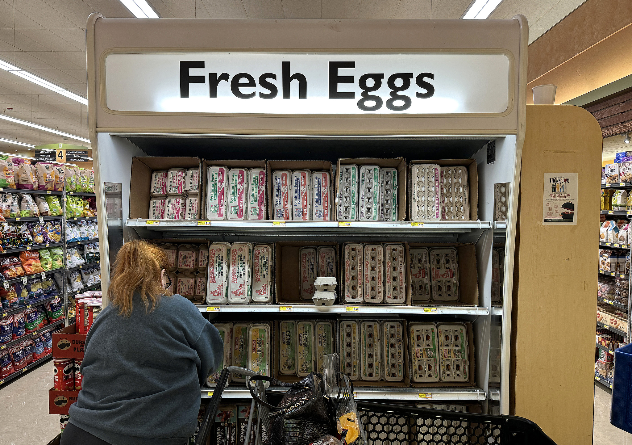 Eggs at a grocery store in San Rafael, California, U.S., September 25, 2024. /CFP