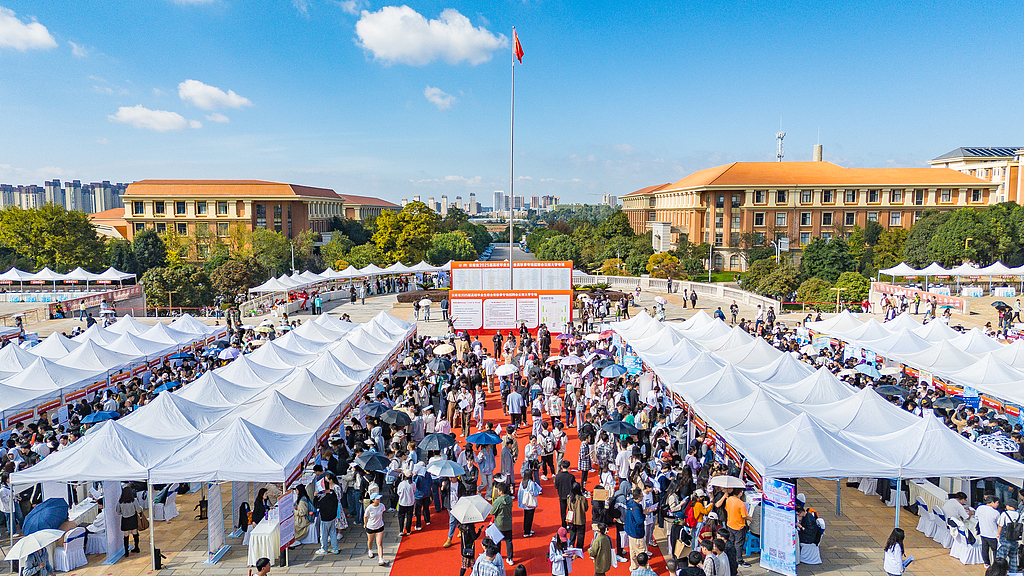 Students attend a job fair in Yunnan University in Kunming, southwest China's Yunnan Province, October 25, 2024. /CFP