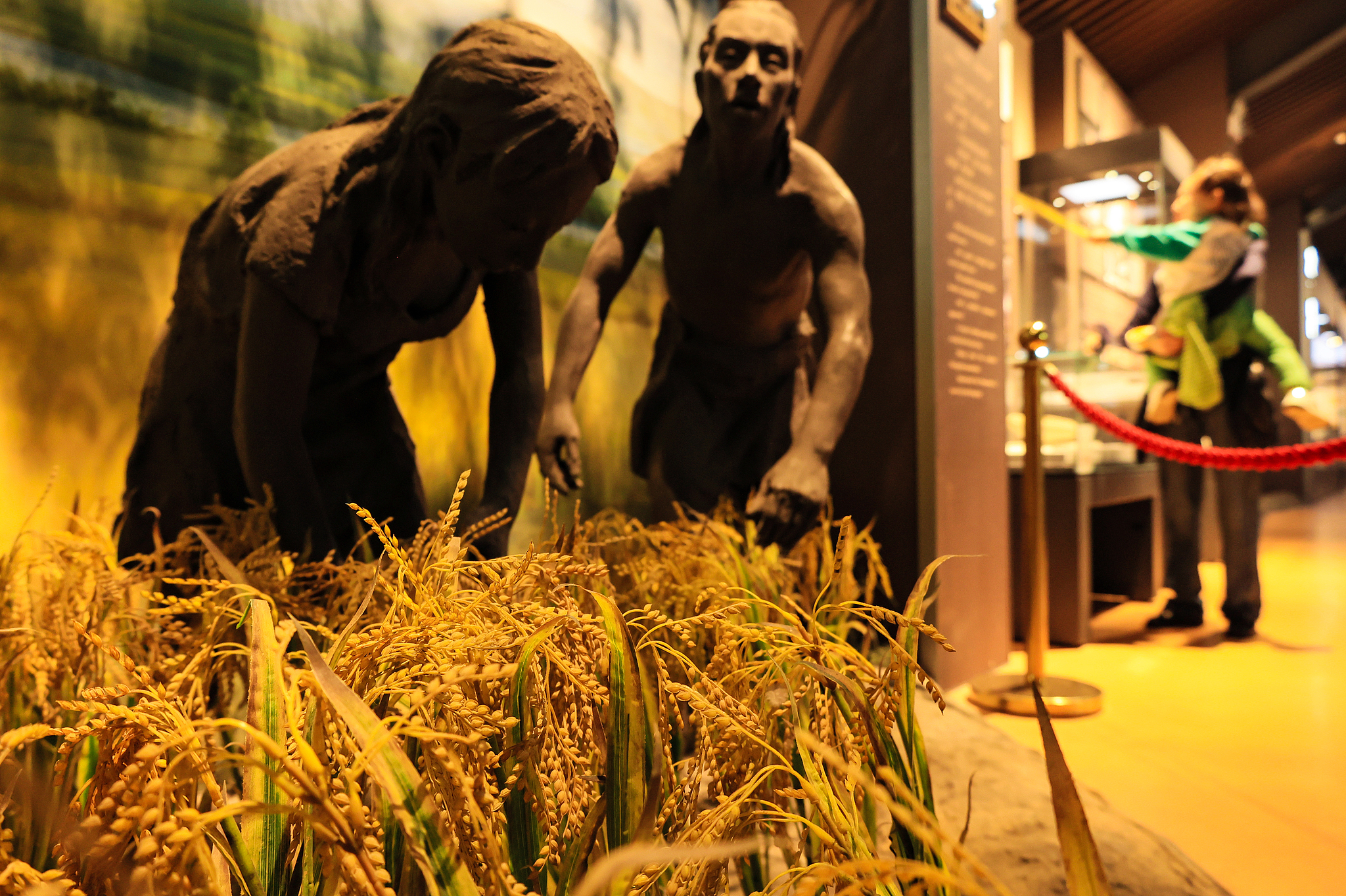 Shangshan Archaeological Park in east China's Zhejiang Province, October 22, 2024. /CFP