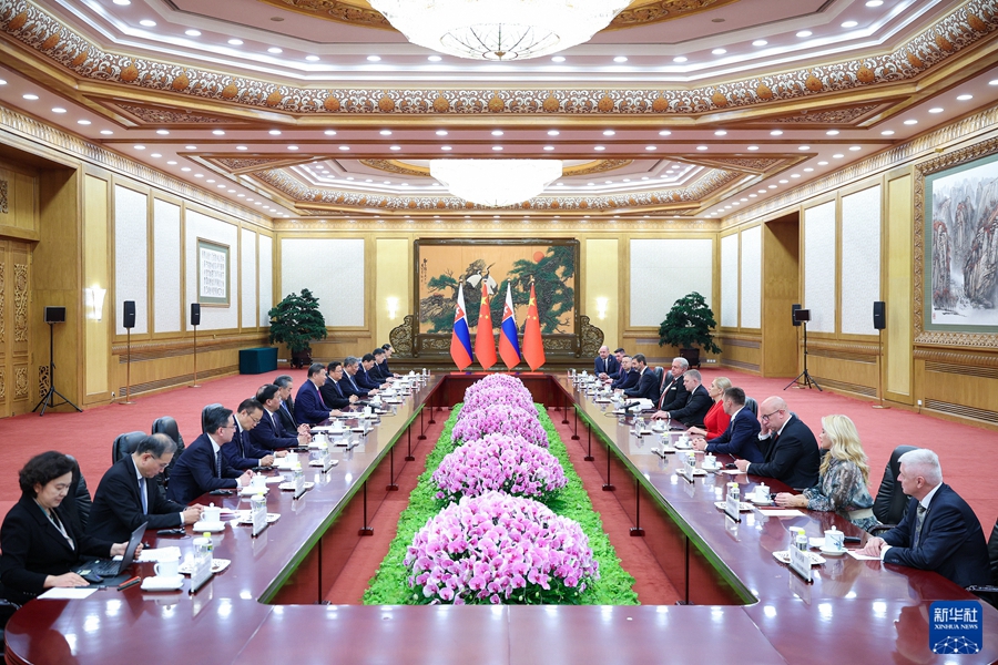 Chinese President Xi Jinping holds talks with Slovak Prime Minister Robert Fico in Beijing, China, November 1, 2024. /Xinhua