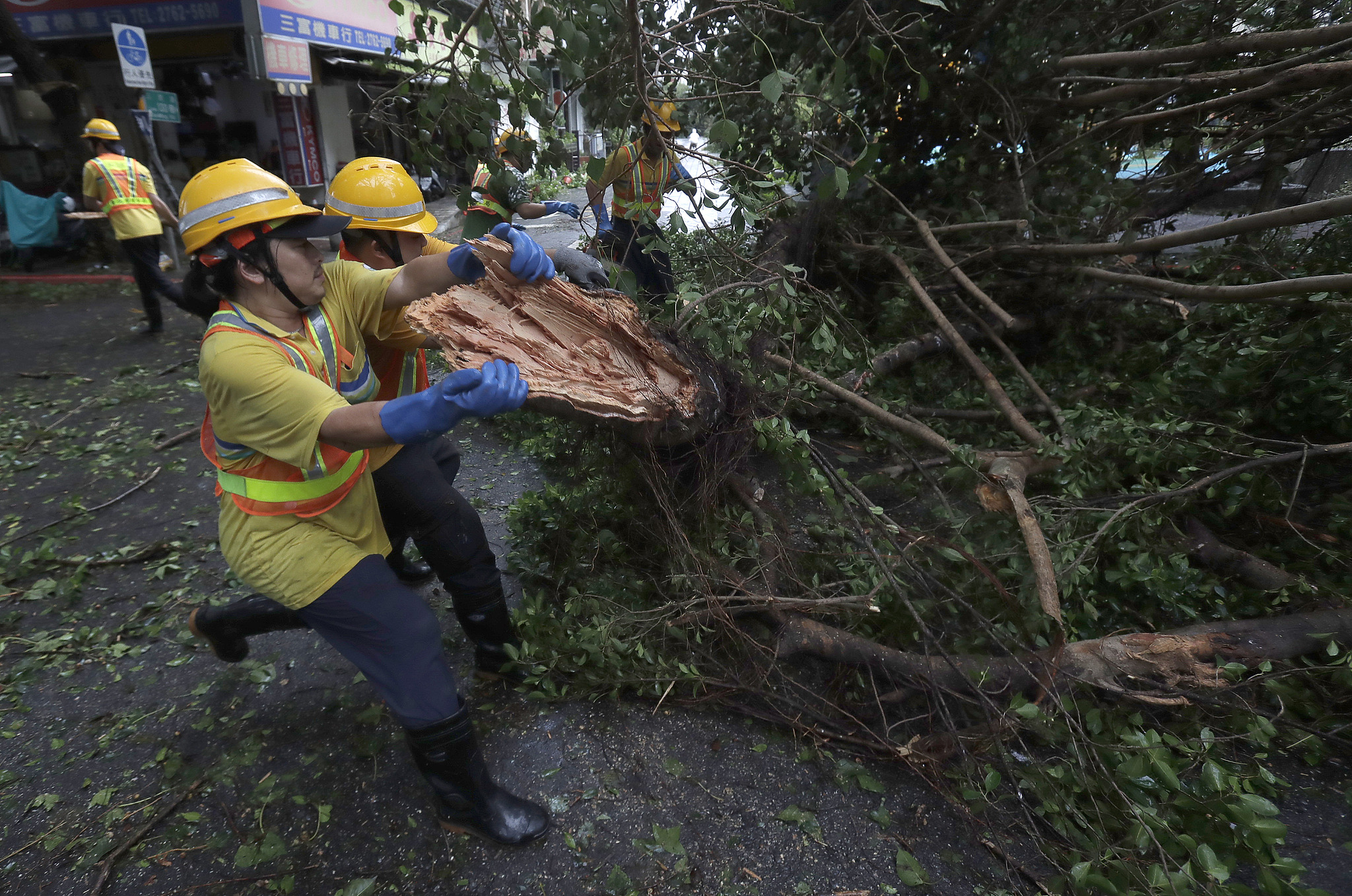 Two sanitation workers remove fallen trees in Taipei in the aftermath of Typhoon Kong-rey, southeast China's Taiwan Province, November 1, 2024. /CFP