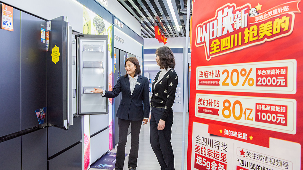 A salesperson explains the features of refrigerators and government subsidy policies to a consumer, Guang'an City, southwest China's Sichuan Province, October 17, 2024. /CFP