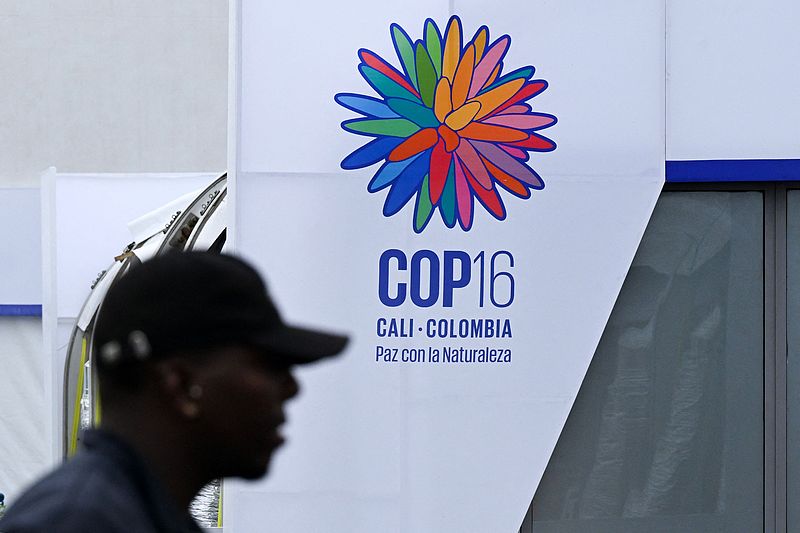 A sign bearing the COP16 logo at the Pacific Event Center in Yumbo, near Cali, Valle del Cauca department, Colombia, October 10, 2024. /CFP