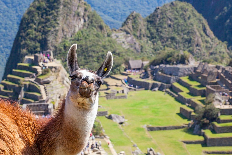 Explore Peru's Machu Picchu: The 'Lost City of the Incas'