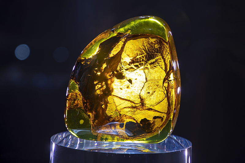 A piece of Cretaceous amber is on display at the 7th China International Import Expo in Shanghai, November 4, 2024. /CFP