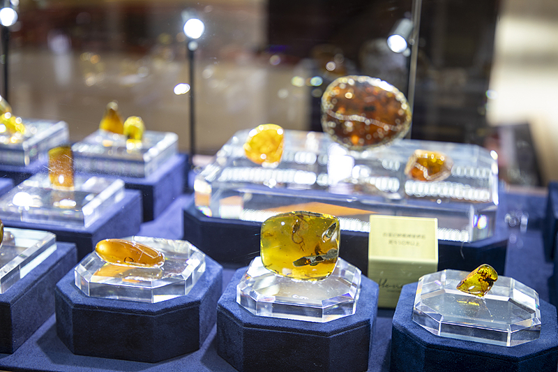 A glimpse of treasures displayed at the 7th China International Import Expo in Shanghai, November 4, 2024. /CFP