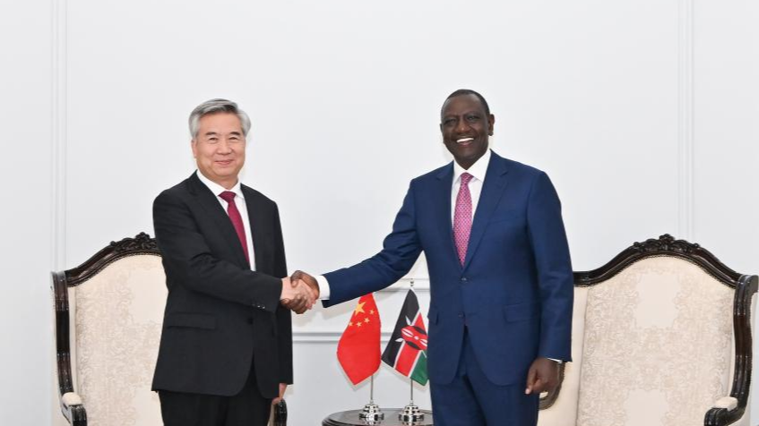 Li Xi, a member of the Standing Committee of the Political Bureau of the Communist Party of China (CPC) Central Committee and secretary of the CPC Central Commission for Discipline Inspection (L), meets with Kenyan President and United Democratic Alliance Leader William Ruto in Nairobi, Kenya, November 4, 2024. /Xinhua