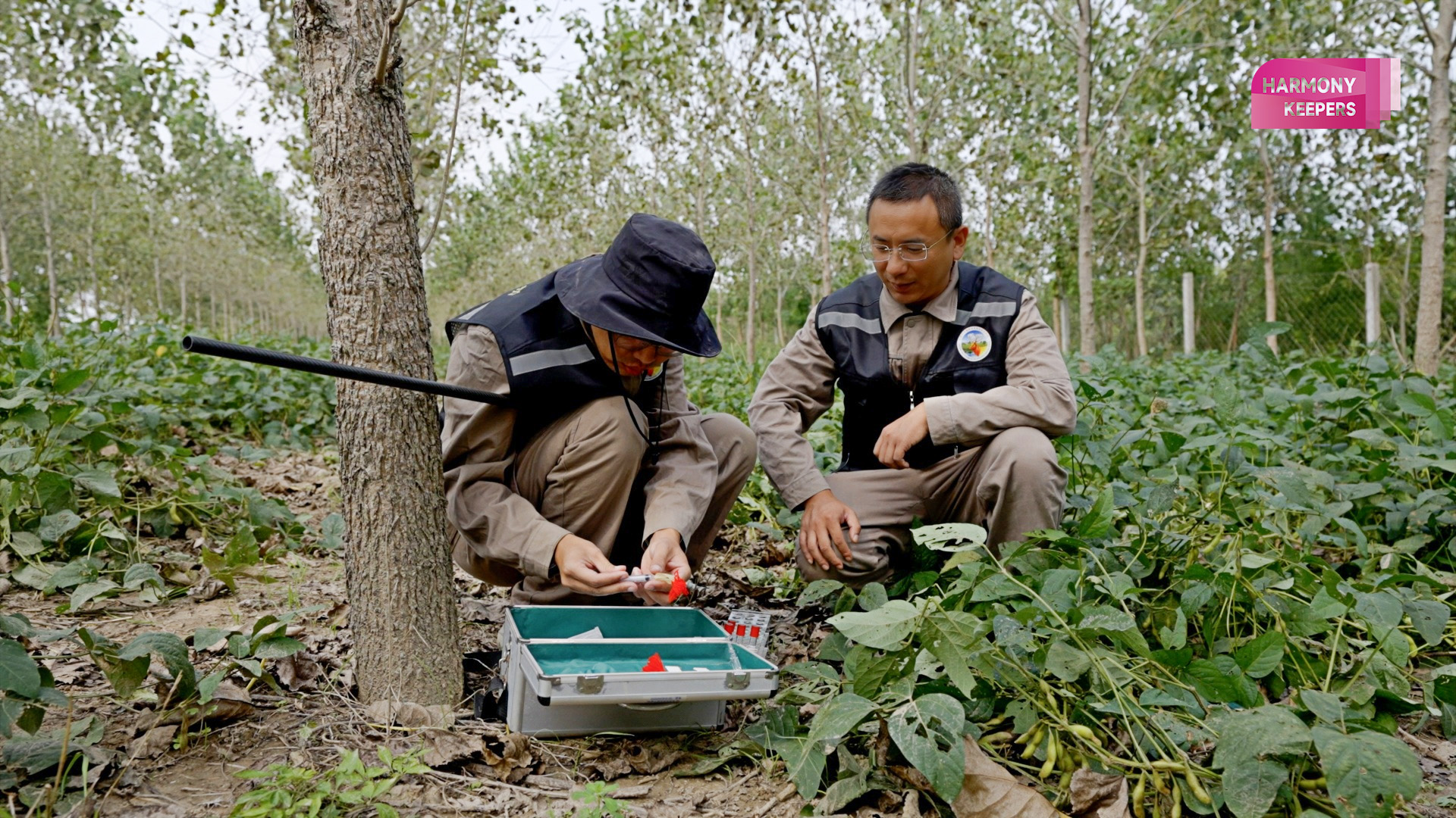 This photo shows two park rangers working in Jiangsu's Dafeng Milu National Nature Reserve. /CGTN