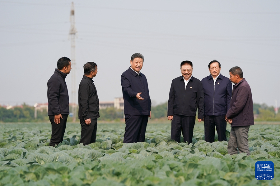 Chinese President Xi Jinping, also general secretary of the Communist Party of China Central Committee and chairman of the Central Military Commission, visits a vegetable farm in Jiayu County in Xianning, central China's Hubei Province, November 5, 2024. /Xinhua