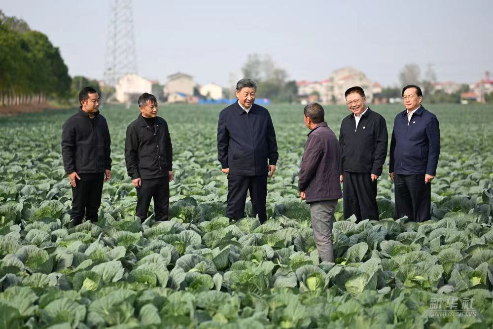 Chinese President Xi Jinping visits a vegetable farm in Panjiawan Town of Jiayu County in Xianning, central China's Hubei Province. /Xinhua