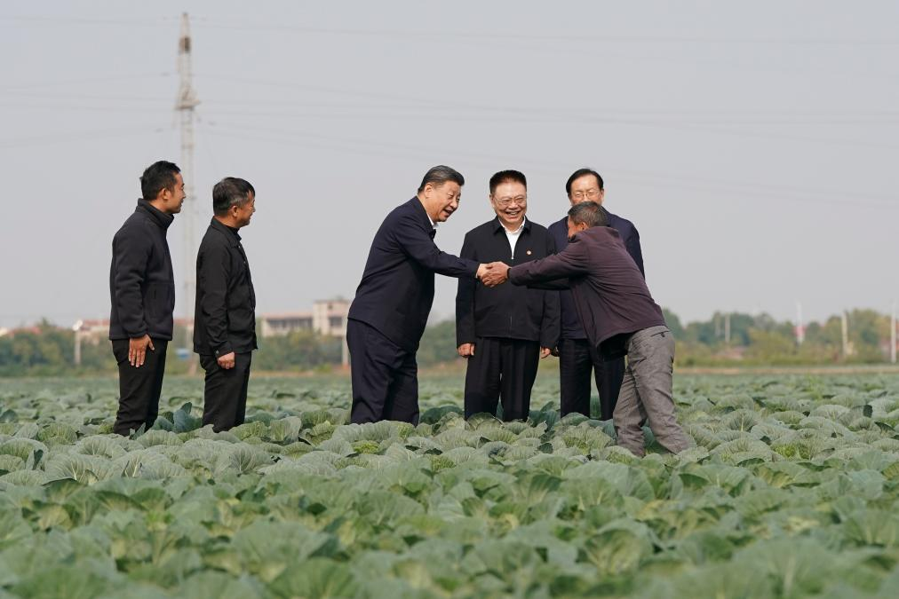 Chinese President Xi Jinping, also general secretary of the Communist Party of China Central Committee and chairman of the Central Military Commission, visits a vegetable farm in Panjiawan Town of Jiayu County in Xianning, central China's Hubei Province, November 5, 2024. /Xinhua