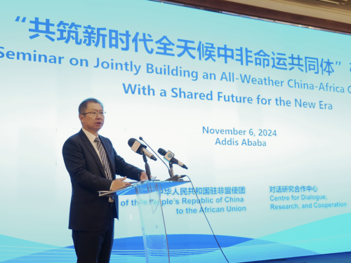 Hu Changchun, head of the Chinese mission to the AU, speaks at a seminar on 