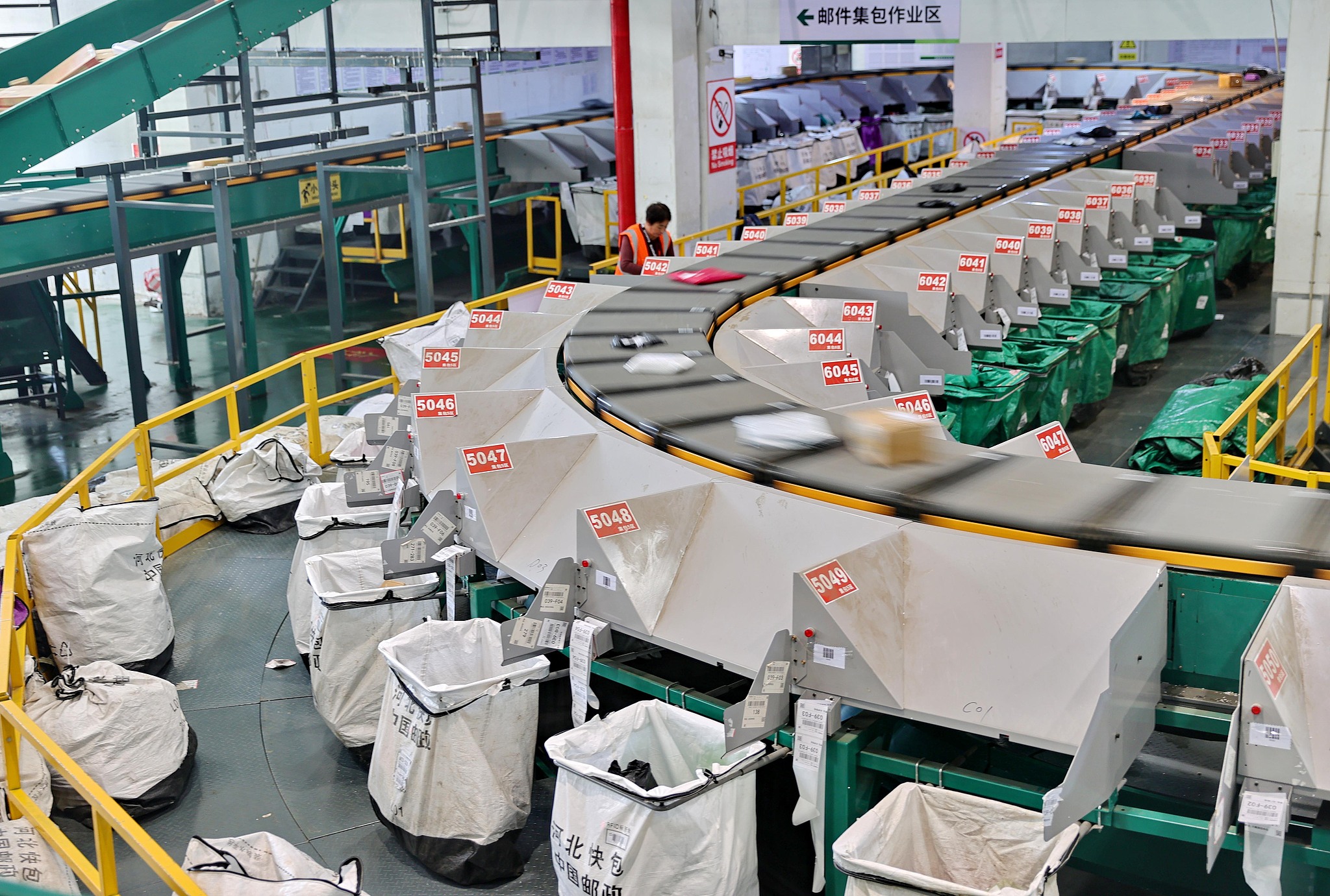 Workers sorting out parcels at a package sorting center during the Double 11 Shopping Festival, north China's Hebei Province, November 12, 2024. /CFP