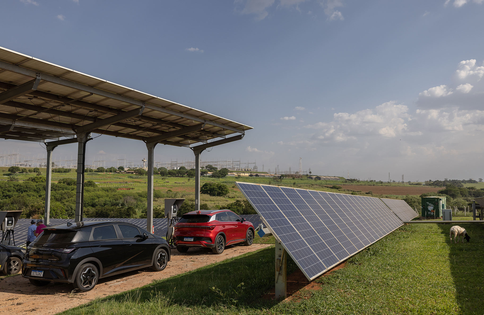 A solar charging station at the BYD solar panel and electric bus chassis production facility in Campinas, Sao Paulo state, Brazil, November 14, 2023. /CFP