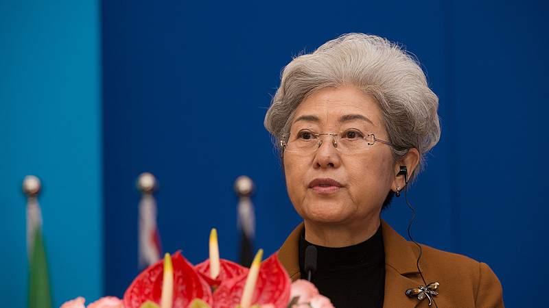 A file photo of former Chinese Vice Foreign Minister Fu Ying. /CFP