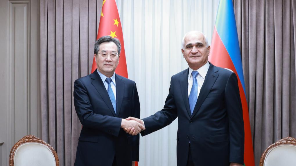 Chinese Vice Premier Ding Xuexiang (L), also a member of the Standing Committee of the Political Bureau of the Communist Party of China Central Committee, holds talks with Azerbaijani Deputy Prime Minister Shahin Mustafayev in Baku, the capital city of Azerbaijan, November 13, 2024. /Xinhua