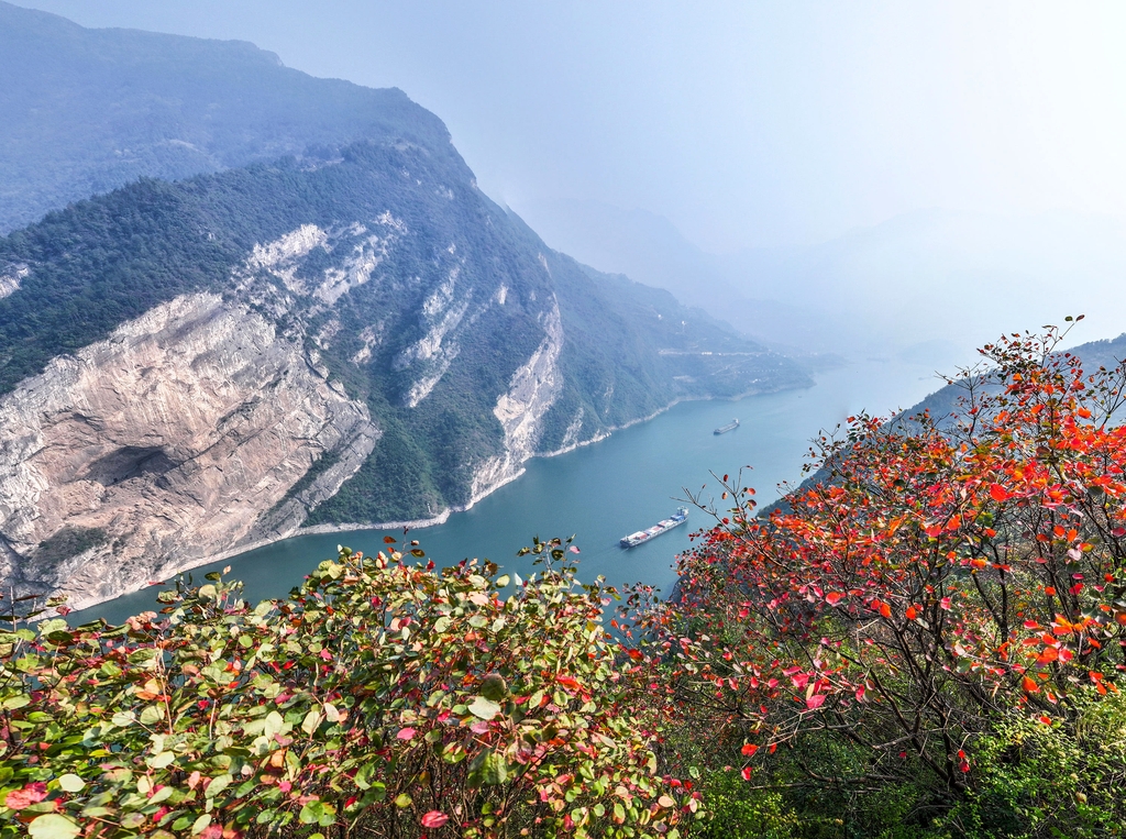 A boat glides through Bingshu Baojian Gorge in Zigui, Hubei Province on November 11, 2024. /IC