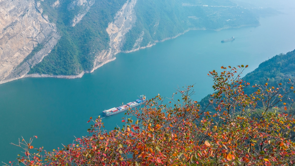 A boat glides through Bingshu Baojian Gorge in Zigui, Hubei Province on November 11, 2024. /IC