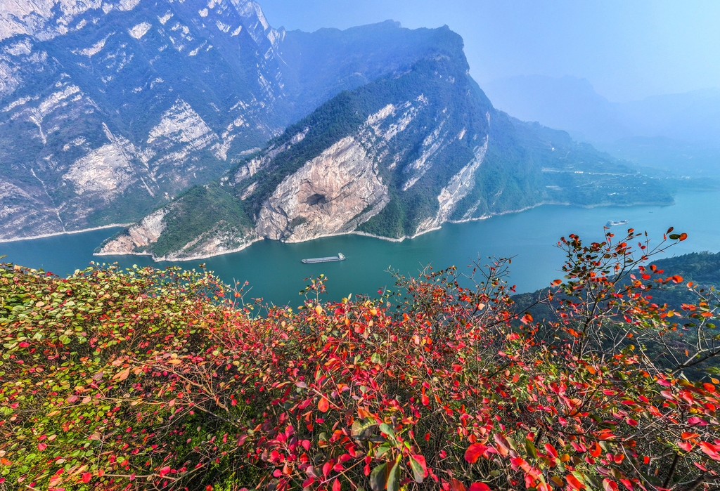 A boat glides through Bingshu Baojian Gorge in Zigui, Hubei Province on November 11, 2024. /IC