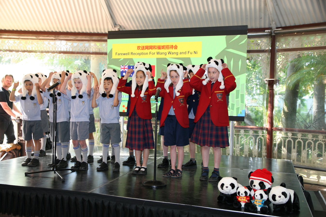 The farewell reception for Wang Wang and Fu Ni at Adelaide Zoo in Australia, November 14, 2024. /CFP