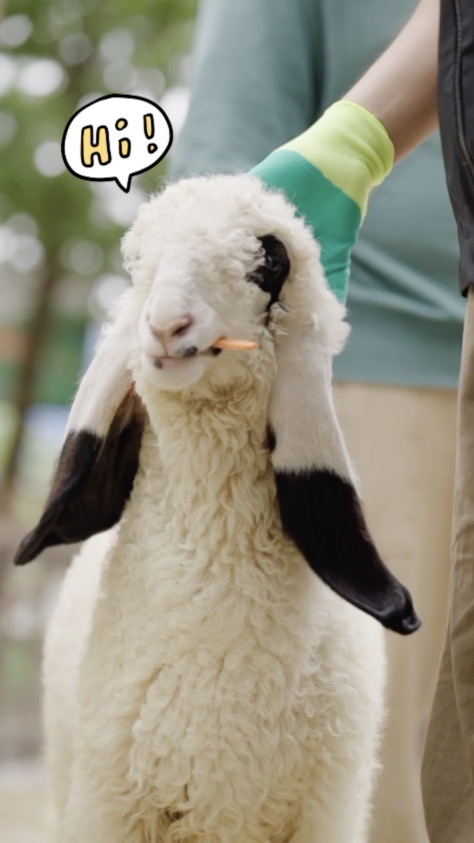 Step into a fairytale wonderland in Jiangsu