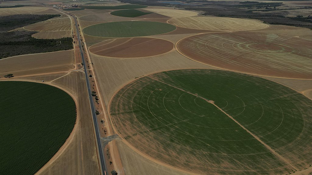 Fields prepared for planting corn and soybeans in a rural area of Brasilia, Brazil, October 1, 2024. /CFP