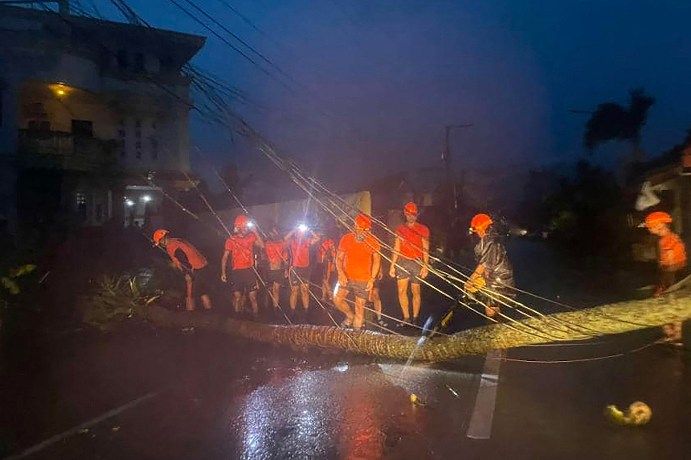 Coast guards remove an uprooted coconut tree from a road in Baler, Aurora Province, the Philippines, November 17, 2024. /CFP