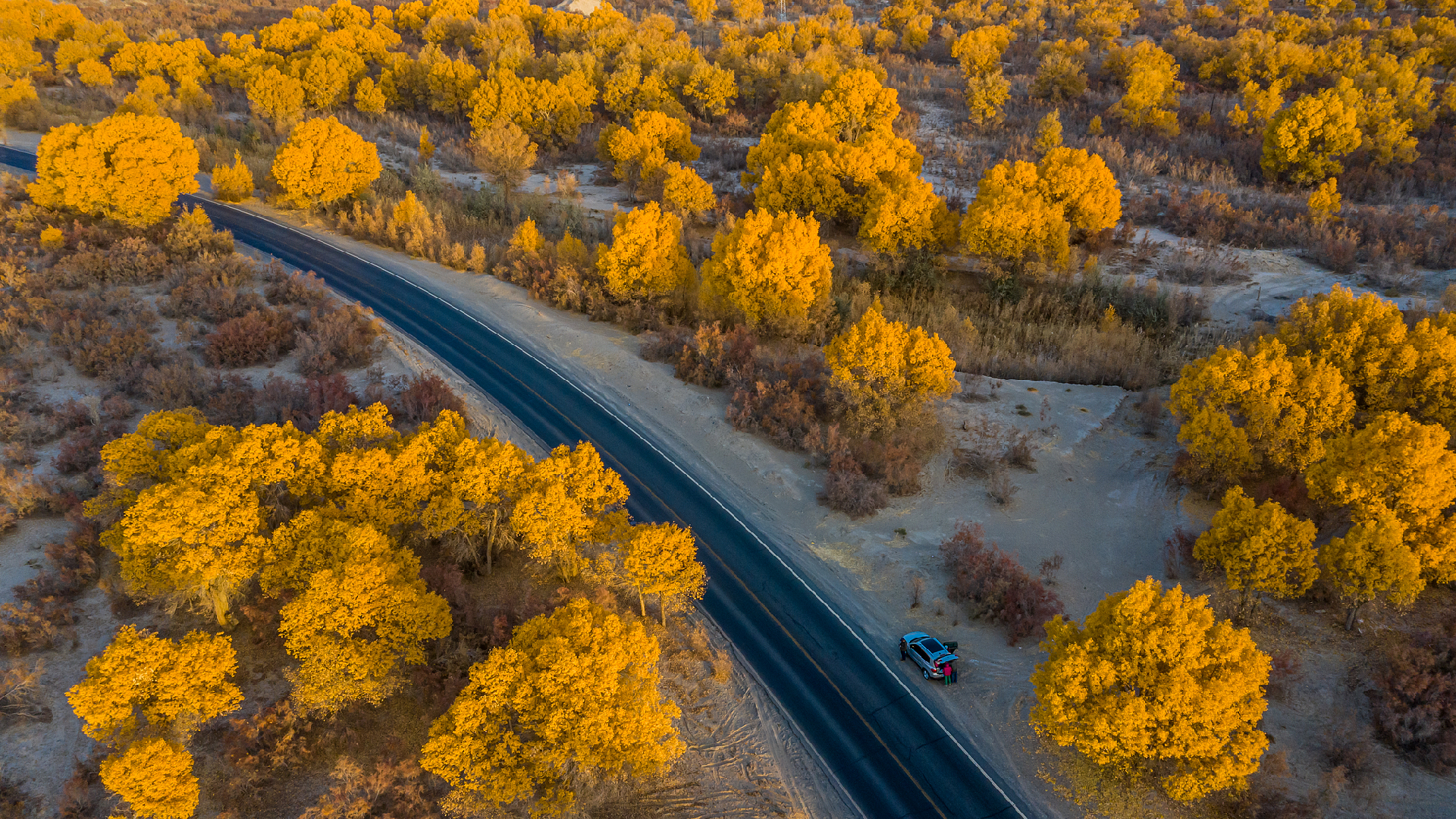 Combat in the desert: Crafting a "green scarf" for Xinjiang