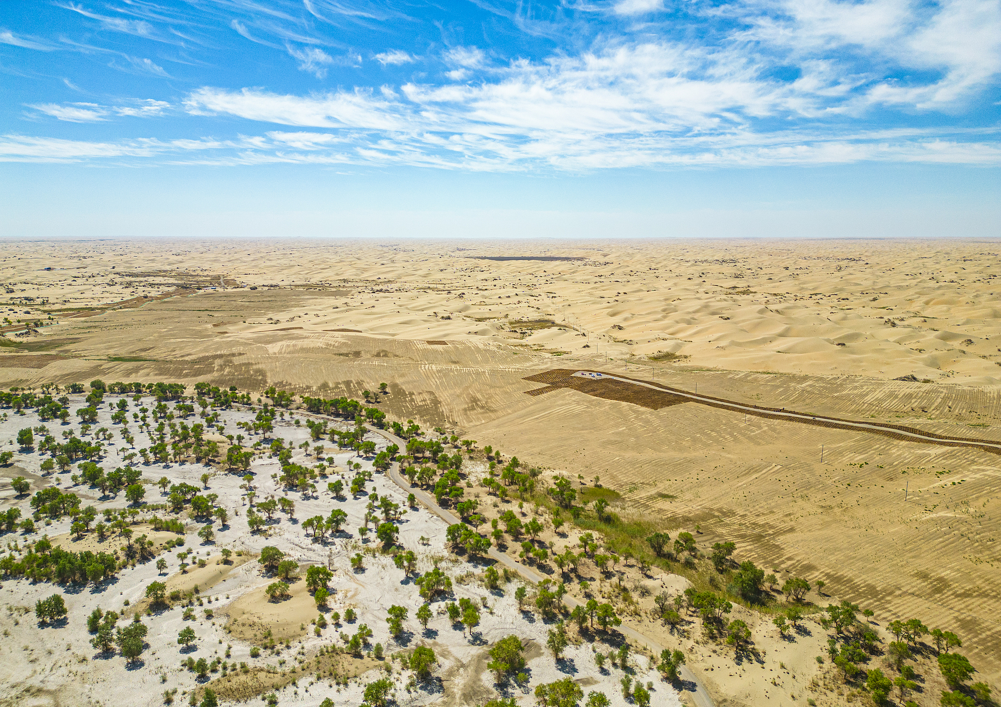 In the desertification control area on the southern bank of the Tarim River in Yuli County, Bayingolin Mongol Autonomous Prefecture, Xinjiang, it was observed that the local forestry department had laid water-saving drip irrigation systems on leveled sand dunes, in order to increase the vegetation cover and slow the process of desertification. /CFP