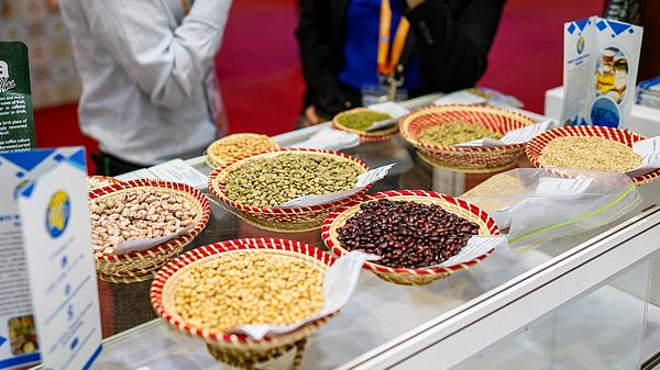 Burundi seeks trade boost via CIIE