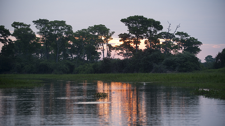 Methane emissions from tropical wetlands are on the rise, jeopardizing climate initiatives