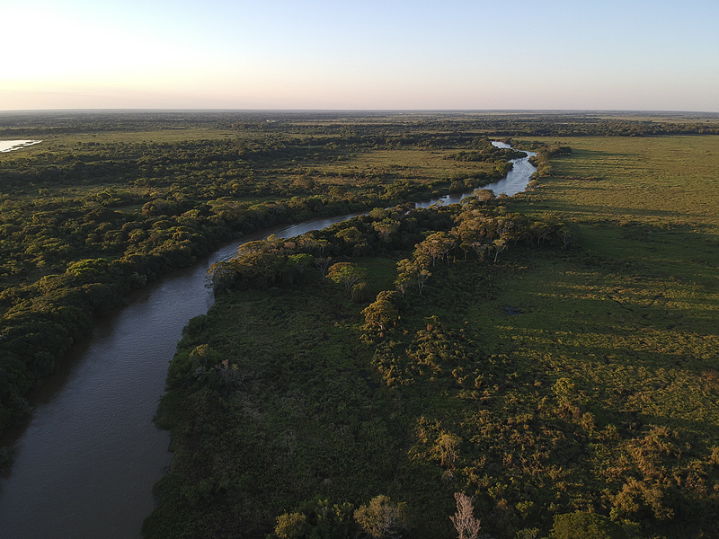 Pantanal, the world's largest tropical wetland area, Brazil. /CFP