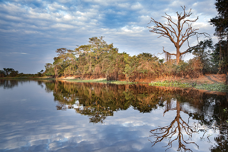 Pantanal, the world's largest tropical wetland area, Brazil. /CFP