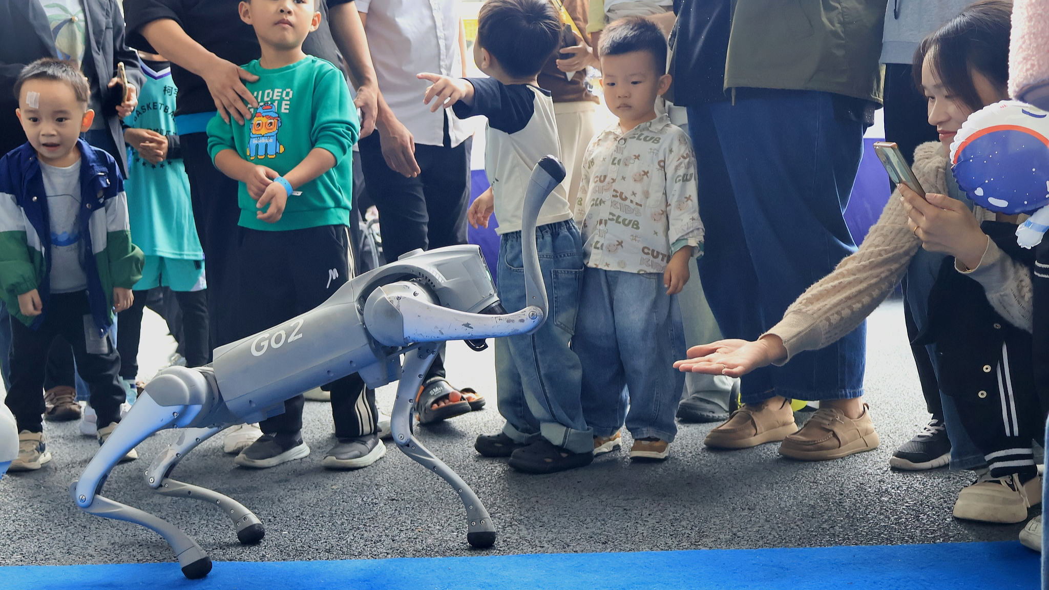 Visitors play with a robot dog at an exhibition during the 2024 World Young Scientist Summit in Wenzhou City, east China's Zhejiang Province, November 16, 2024. /CFP