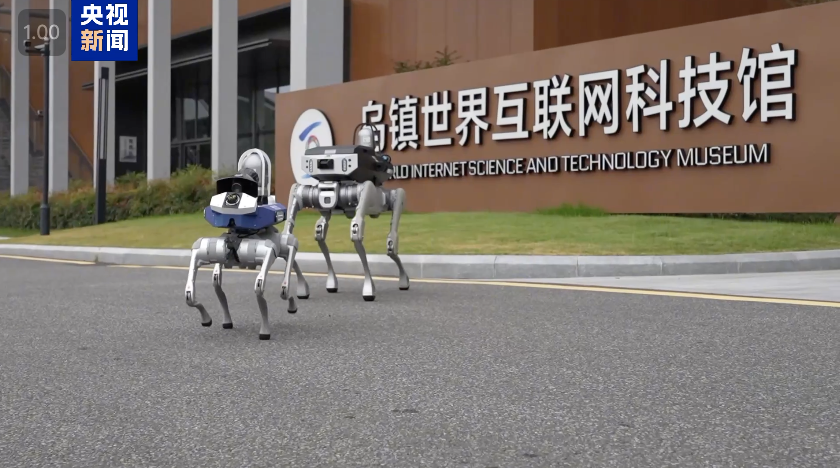 Smart robot dogs in front of the World Internet Science and Technology Museum, Wuzhen, China, November 18, 2024. /CMG