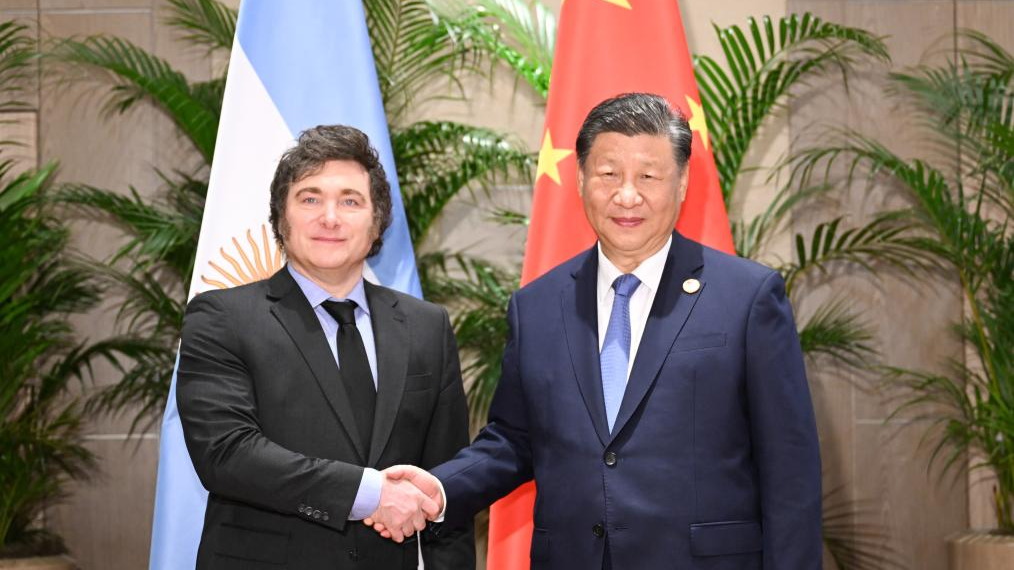 China, Argentina to jointly support high-quality development of BRI