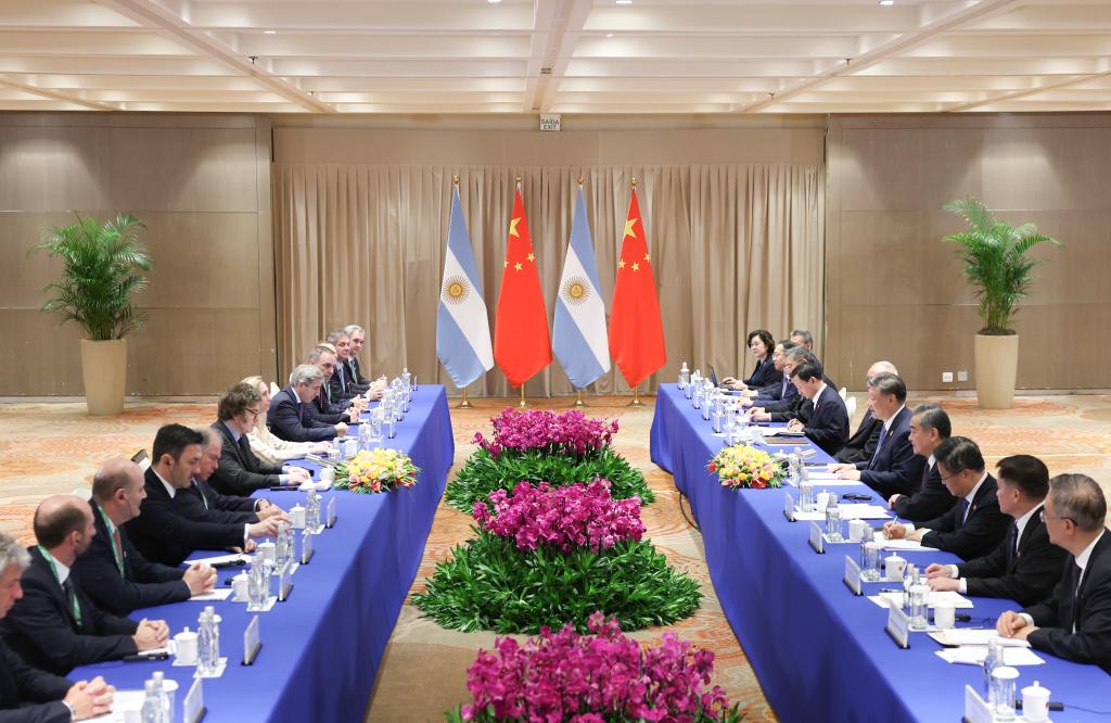 Chinese President Xi Jinping meets with Argentine President Javier Milei on the sidelines of the G20 Leaders' Summit in Rio de Janeiro, Brazil, November 19, 2024. /Xinhua